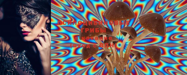 MDMA Premium VHQ Арсеньев