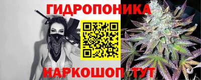 сатива Кунгур