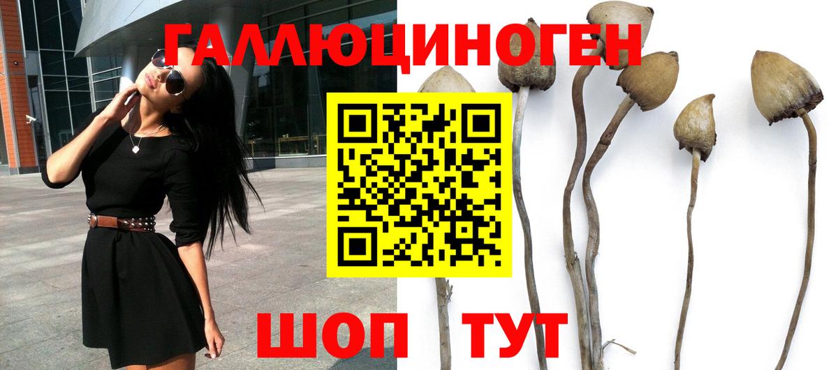 Галлюциногенные грибы прущие грибы Кирово-Чепецк